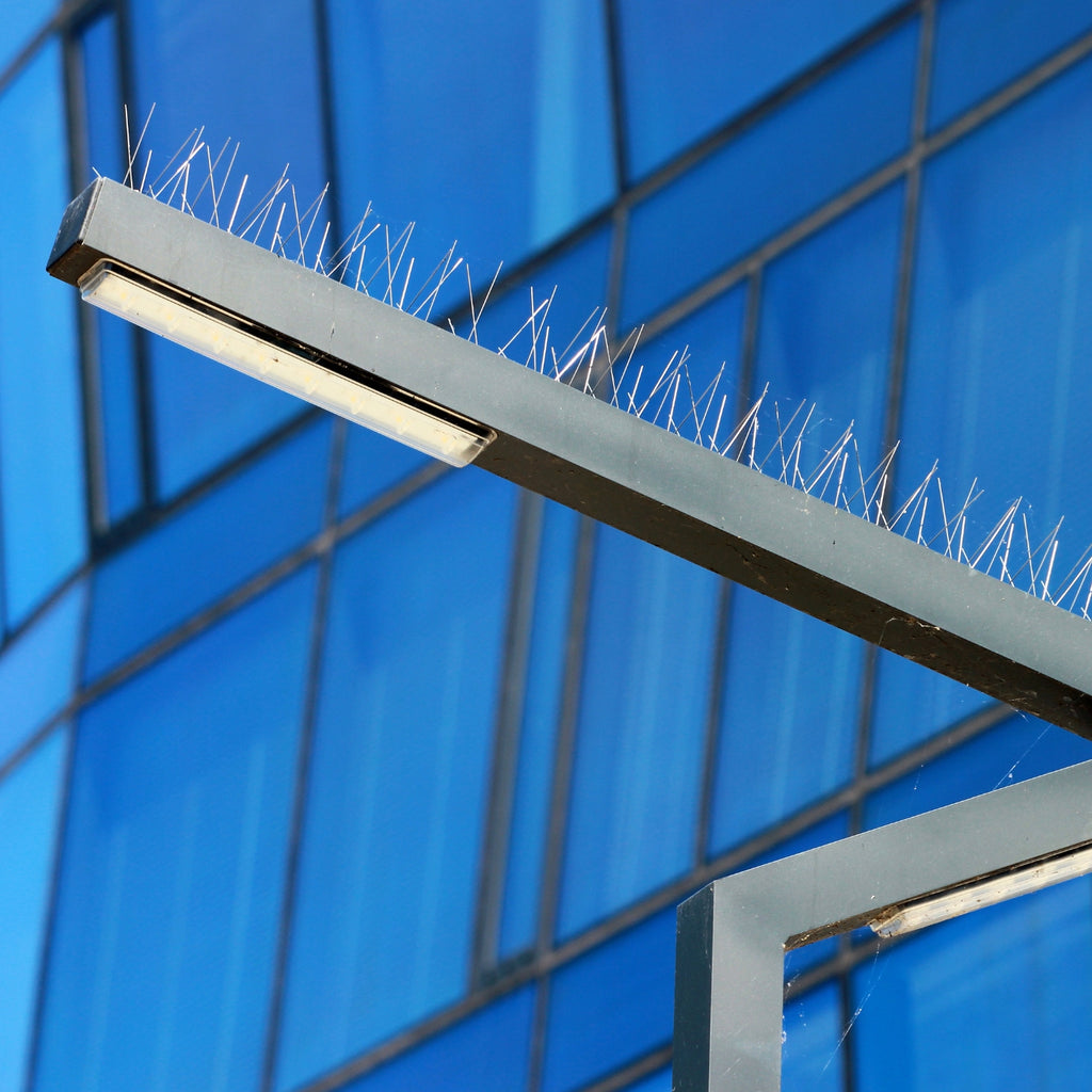 Bird Spikes Stainless Steel
