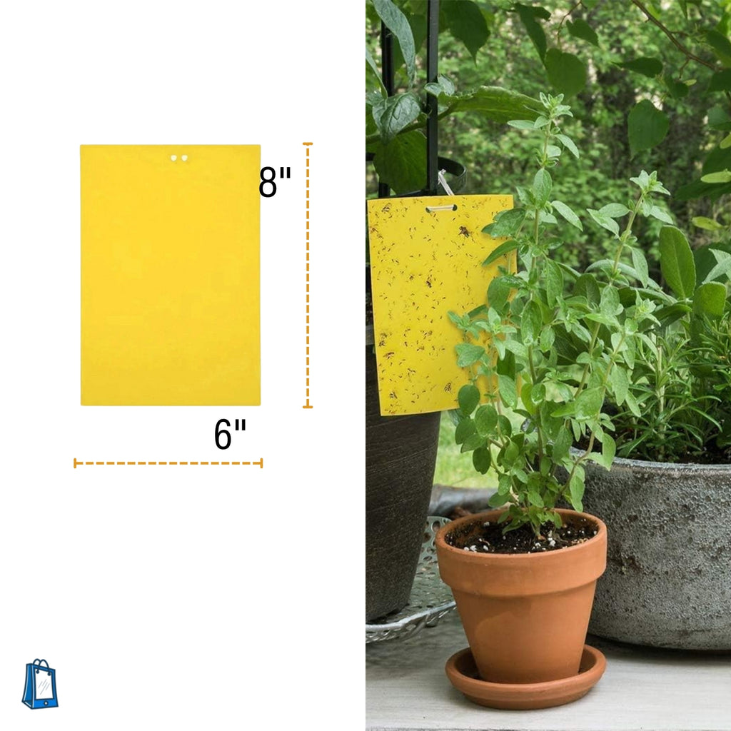 dual-sided sticky traps, size