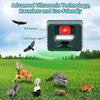 Image of Woodpecker Ultrasonic Repeller - Effective Bird Control