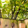 Image of Bird Spikes Stainless Steel
