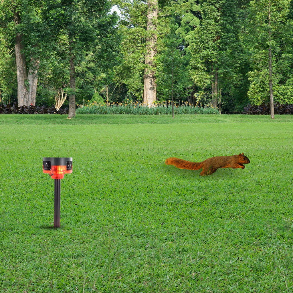 Solar Strobe Light Motion-Activated Animal Repeller