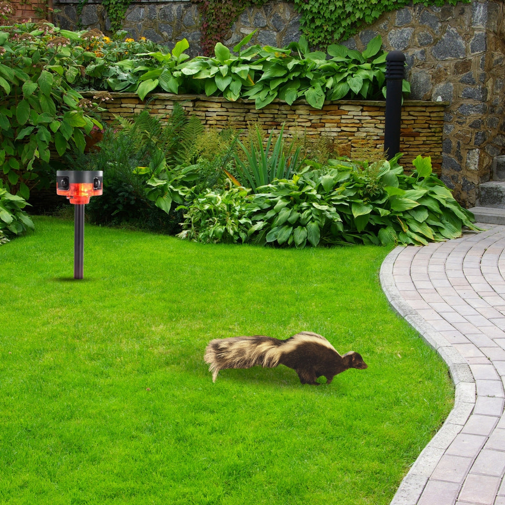 Solar Strobe Light Motion-Activated Animal Repeller