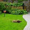 Image of Solar Strobe Light Motion-Activated Animal Repeller