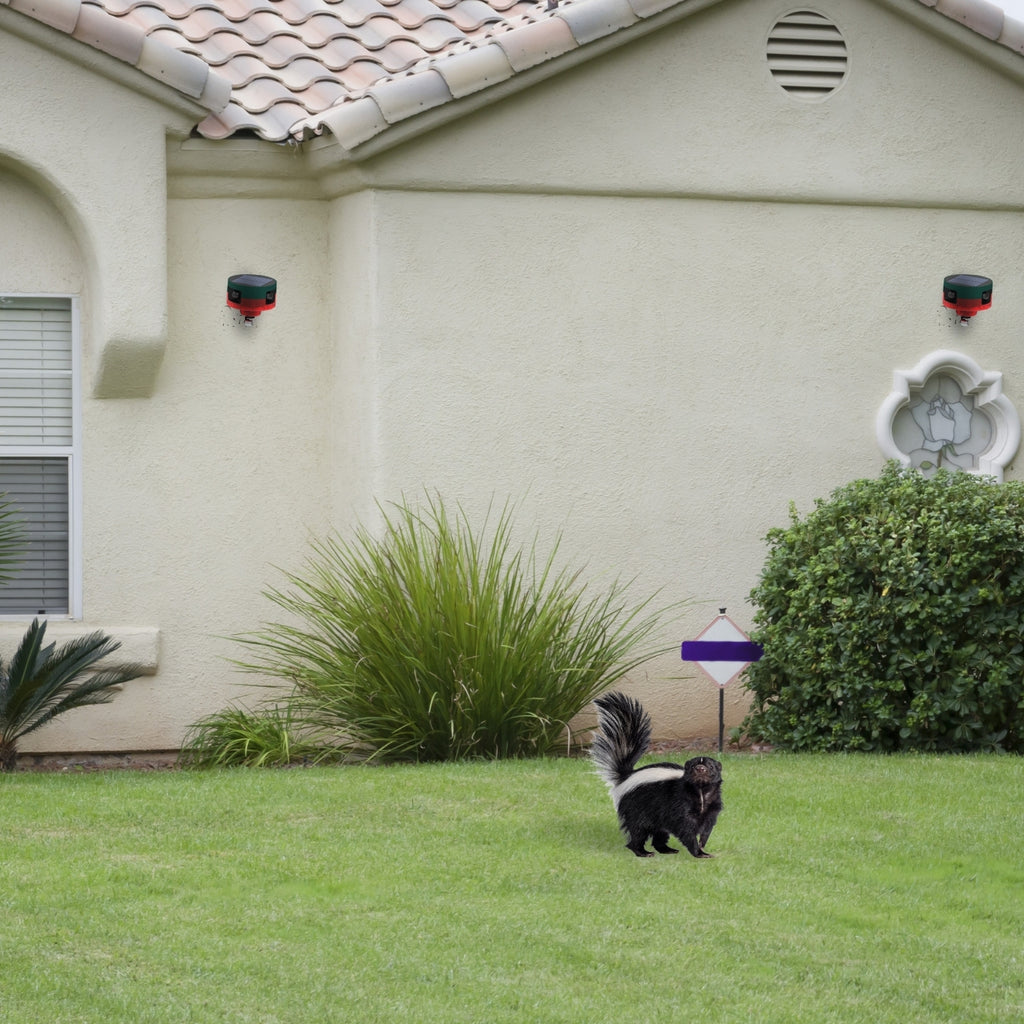 Solar Strobe Light Motion-Activated Animal Repeller