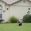Image of Solar Strobe Light Motion-Activated Animal Repeller