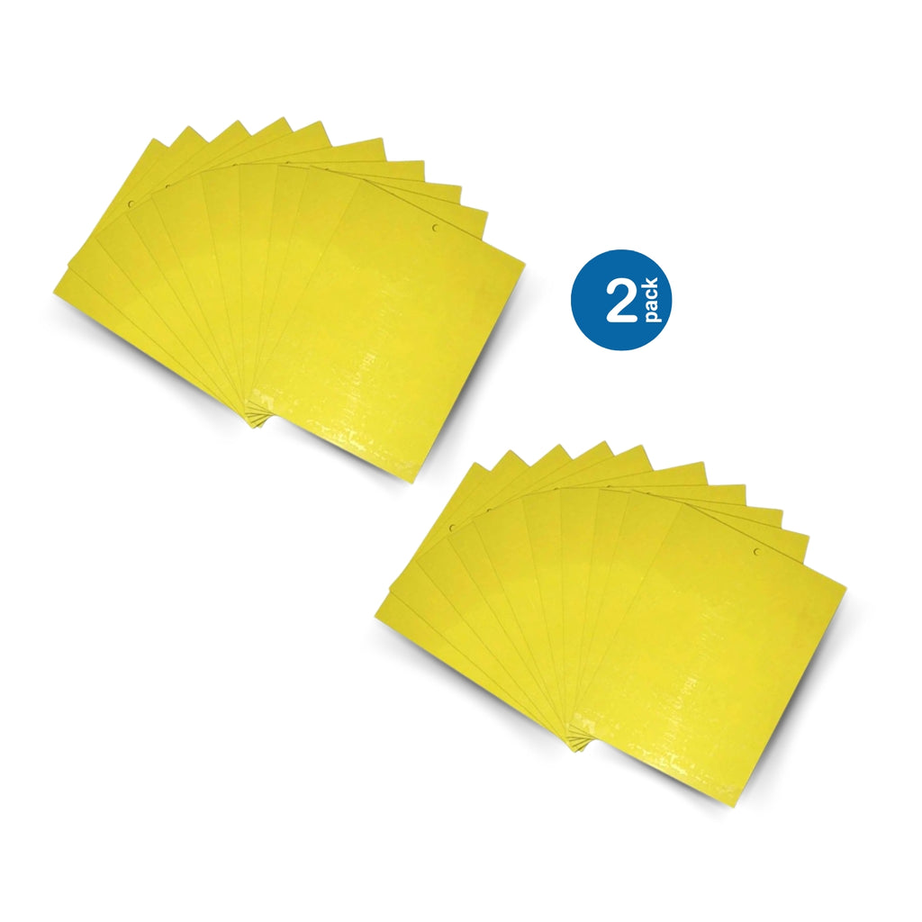 dual-sided sticky traps, 2 pack