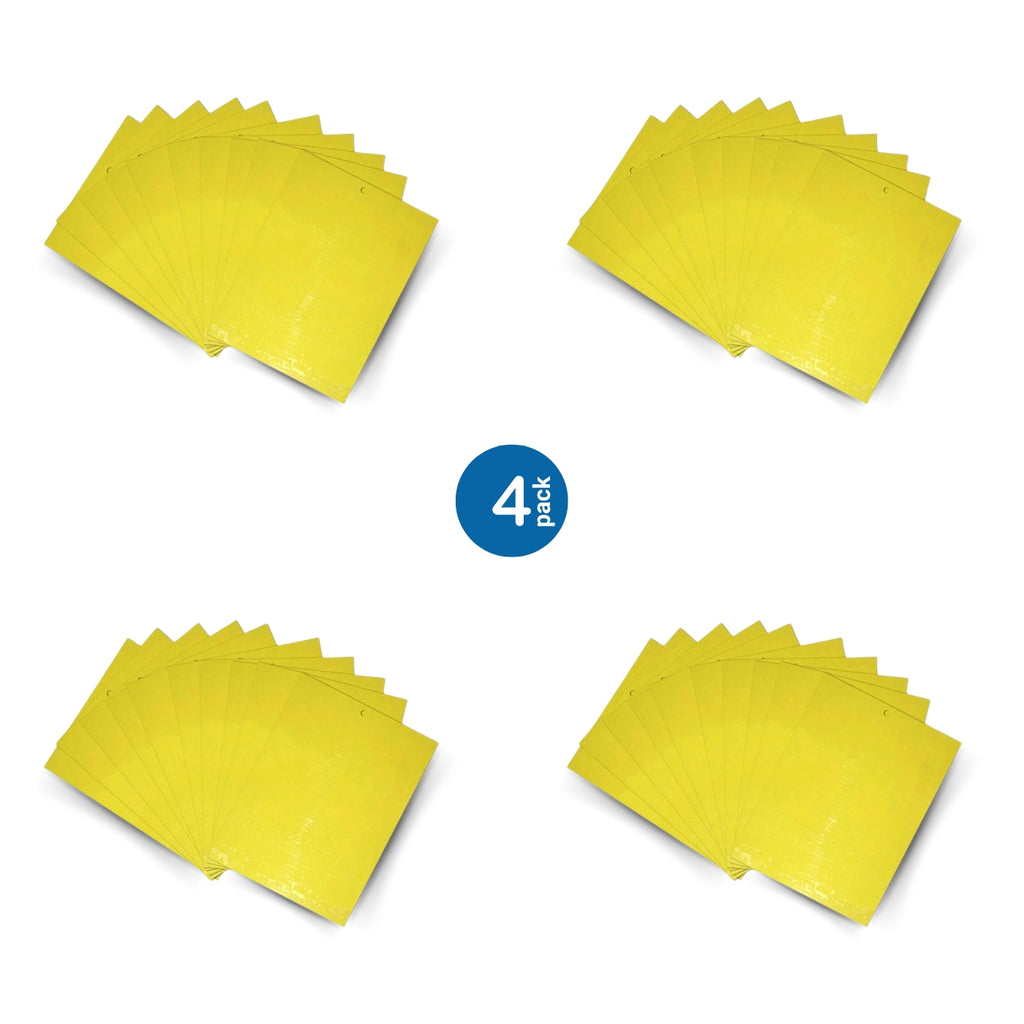 dual-sided sticky traps, 4 pack