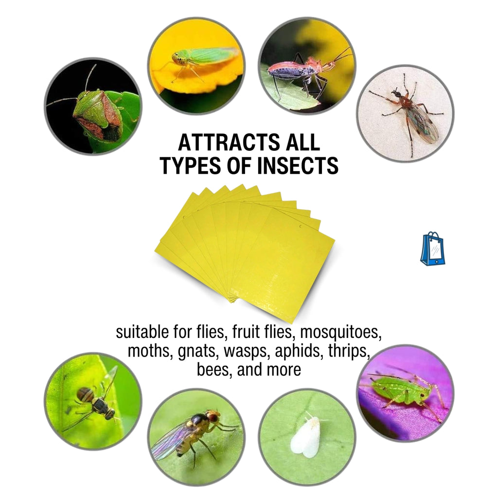 dual-sided sticky traps, applicable for all insects