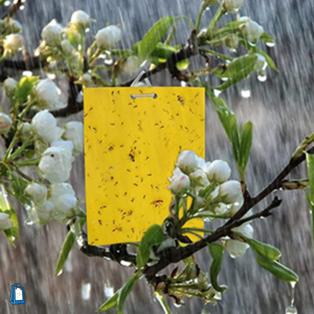 dual-sided sticky traps, weatherproof feature