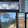 Image of window sticky traps, applied on windows