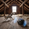 Image of Smart Squirrel Indoor Repeller - 360° Ultrasonic Coverage