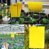 Image of dual-sided sticky traps, applied in a garden