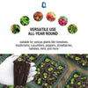 Image of Seed Starter Tray with Humidity Dome