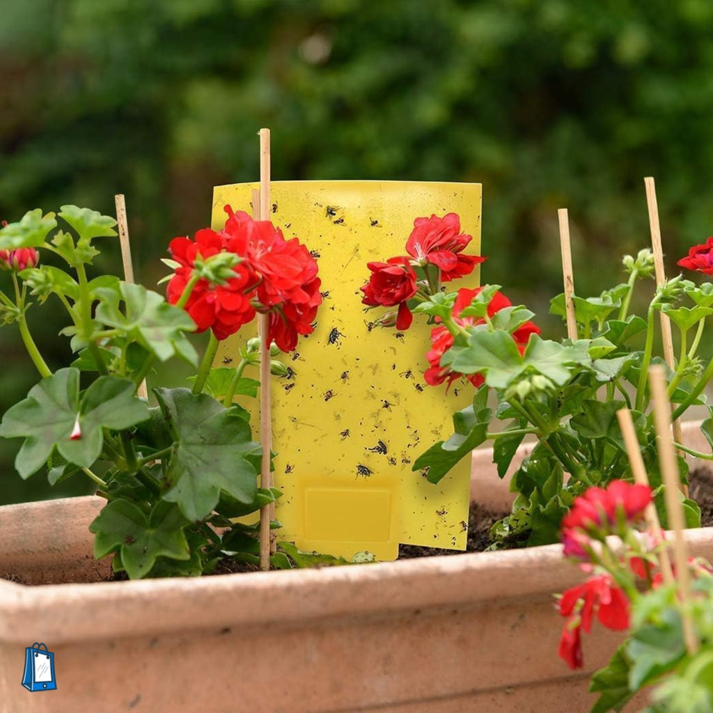 dual-sided sticky traps, applied in a garden pot