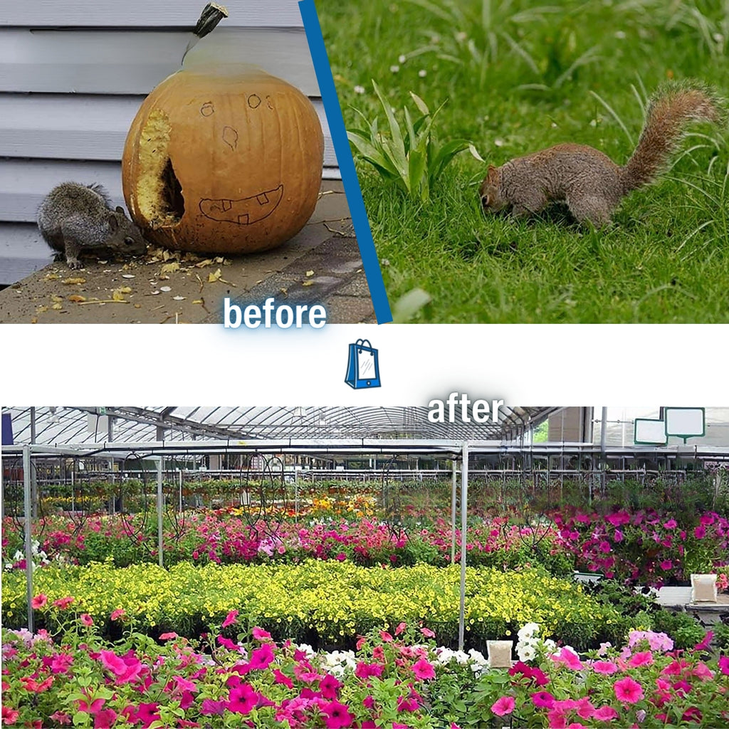 Peppermint Squirrel Pouches - Natural Squirrel Repellent