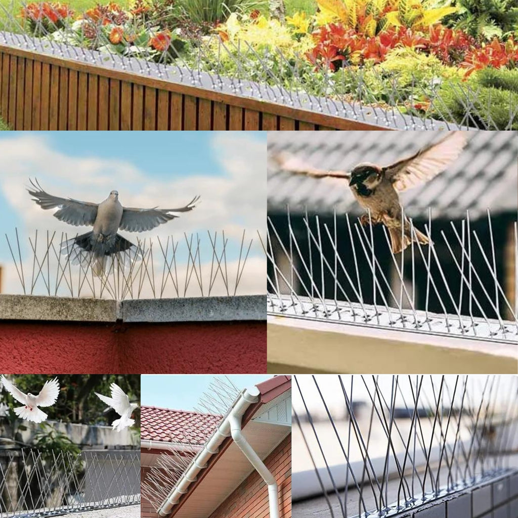 Bird Spikes Stainless Steel
