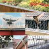 Image of Bird Spikes Stainless Steel