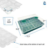 Image of Seed Starter Tray with Humidity Dome