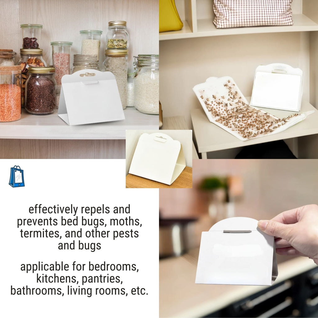 bed bugs glue traps