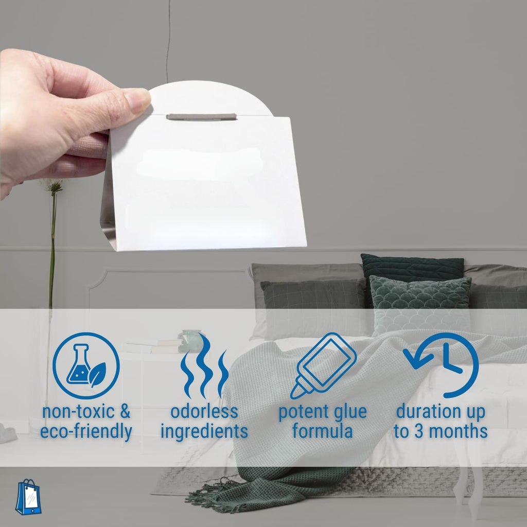 bed bugs glue traps
