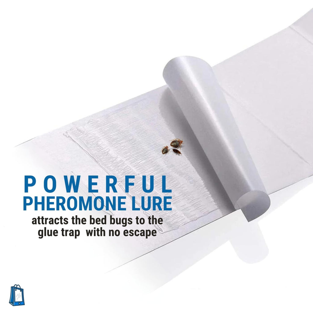 bed bugs glue traps