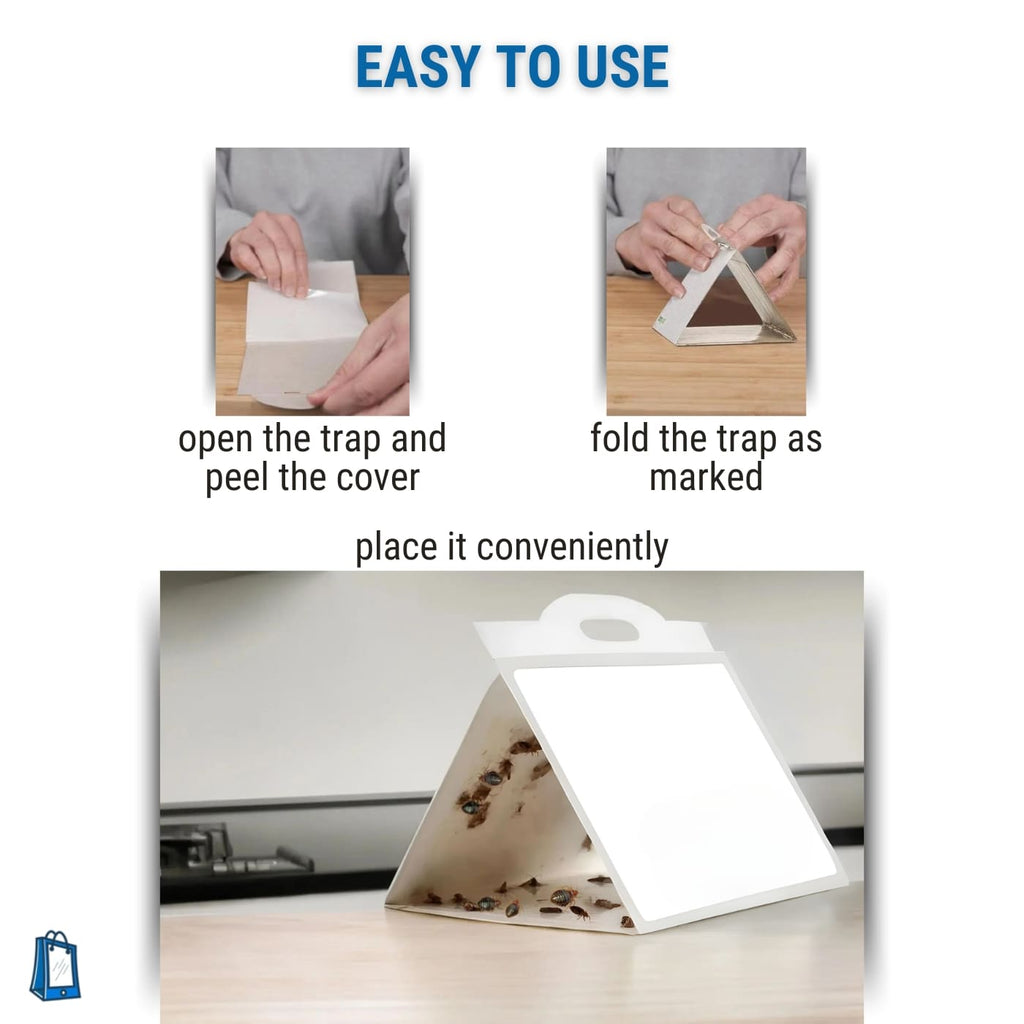 bed bugs glue traps