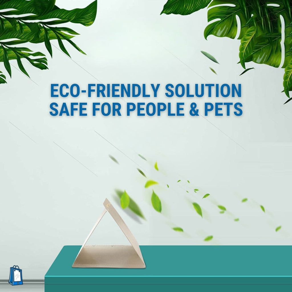 bed bugs glue traps