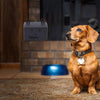 Image of Dog Silencer - Anti Barking Control Device - 100% Harmless for Pet
