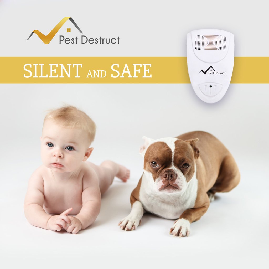 Ultrasonic Termite Repellent - Get Rid Of Termite In 48 Hours Or It's FREE