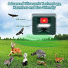 Image of Woodpecker Ultrasonic Repeller - Effective Bird Control