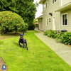 Image of Strobe Light for Dogs - Motion Detector Dogs Repeller