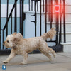 Image of Solar Sound Alarm for Dogs - Motion-Activated Dogs Repeller