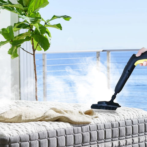 Steam Cleaner for Bed Bugs - Get Rid of Bed Bugs in 7 Days