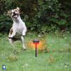 Image of Strobe Light for Dogs - Motion Detector Dogs Repeller