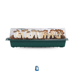 Premium Mushroom Grow Kit - Monotube Mushroom Growing Bin