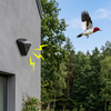 Image of Woodpecker Solar Repeller