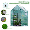 Image of Greenhouse for Outdoor with 2 Mesh Windows and PE Cover