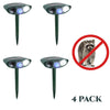 Image of Raccoon Outdoor Solar Ultrasonic Repeller PACK of 4 - Get Rid of Raccoons in 48 Hours or It's FREE